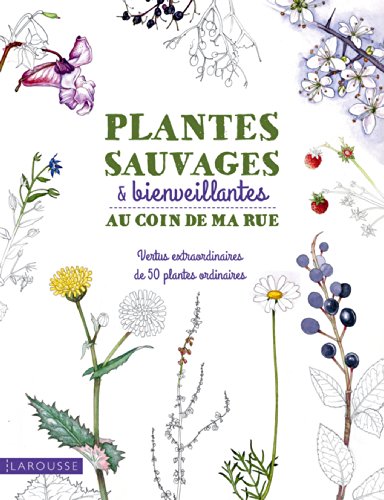 Stock image for Plantes sauvages au coin de ma rue for sale by medimops