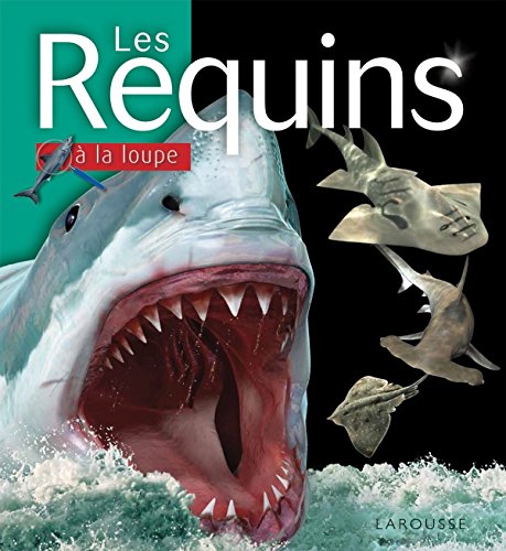 Stock image for Les Requins for sale by Ammareal