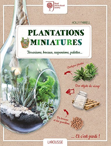 Beispielbild fr Plantations miniatures: Terrariums, bocaux, suspensions, palettes. zum Verkauf von medimops