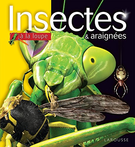 Beispielbild fr Les insectes et araignes NP zum Verkauf von medimops