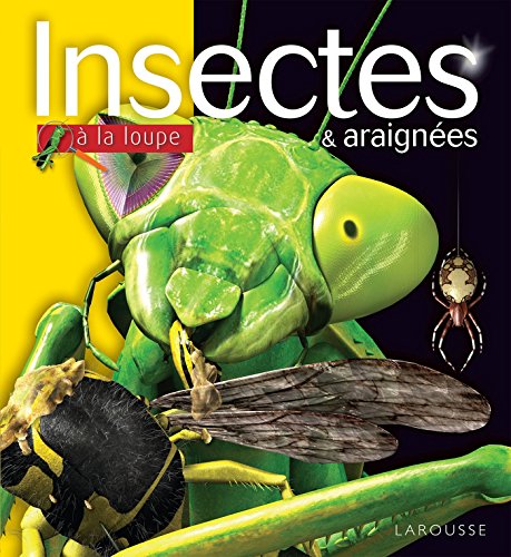 9782035927606: Insectes & araignes