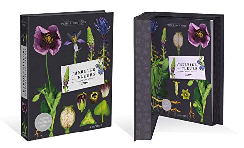 Imagen de archivo de L'herbier des fleurs sauvages de nos rgions VIGNES, Pierre et VIGNES, Dlia a la venta por MaxiBooks