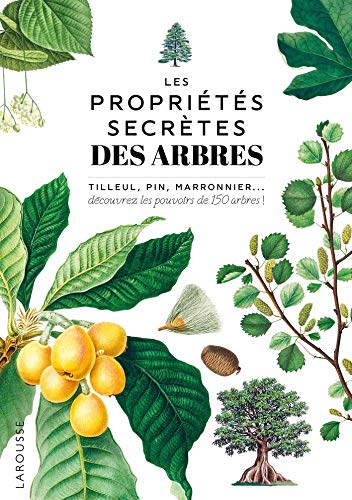 Beispielbild fr Les proprits secrtes des arbres zum Verkauf von Ammareal