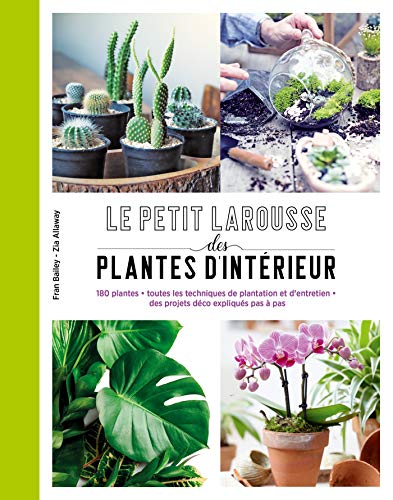 Beispielbild fr Petit Larousse des plantes d'intrieur zum Verkauf von medimops