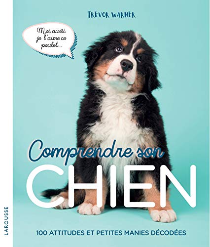 Stock image for Comprendre son chien for sale by medimops
