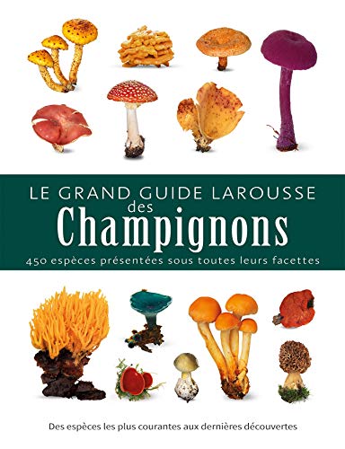 Stock image for Le grand guide Larousse des champignons for sale by medimops