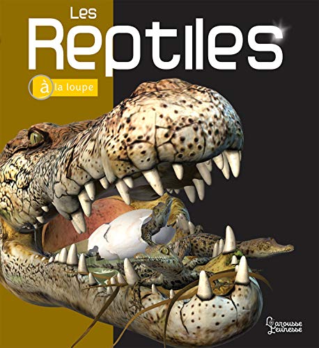 Stock image for Les Reptiles for sale by ThriftBooks-Dallas