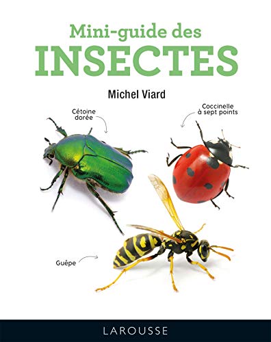 Imagen de archivo de Mini-guide des insectes a la venta por Ammareal
