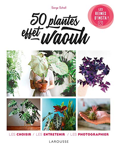 Stock image for 50 plantes effet waouh: Les choisir, les entretenir, les photographier for sale by medimops