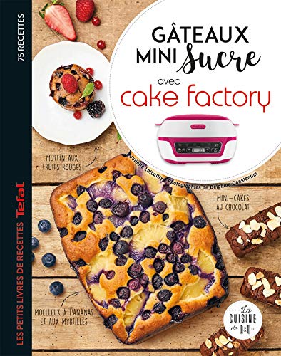 Beispielbild fr Gteaux mini sucre avec Cake Factory zum Verkauf von medimops