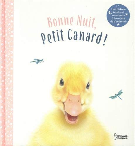 Stock image for Bonne nuit petit canard for sale by Ammareal