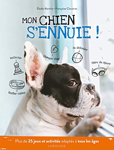 Beispielbild fr Mon chien s'ennuie !: Plus de 25 jeux et activits adapts  tous les ges zum Verkauf von medimops