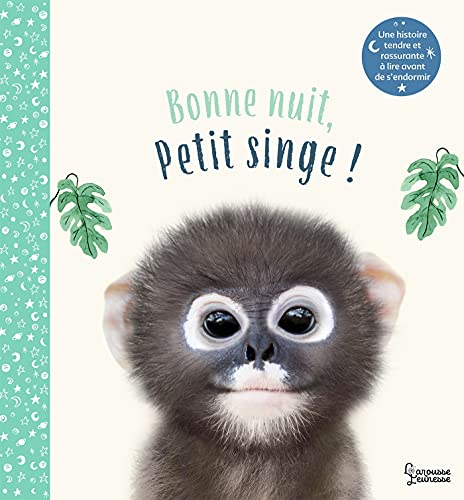 9782036004139: Bonne nuit petit singe