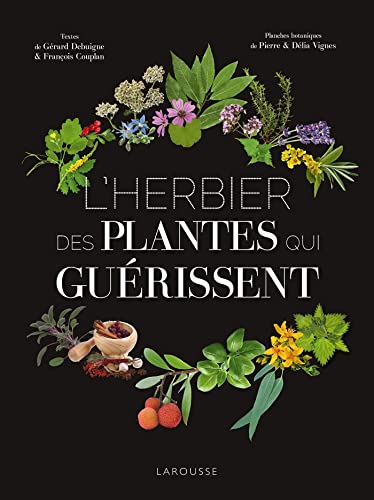 Imagen de archivo de L'Herbier des plantes qui gurissent a la venta por Gallix