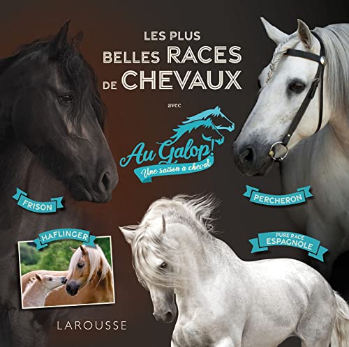 Beispielbild fr Au galop - Les plus belles races de chevaux zum Verkauf von medimops