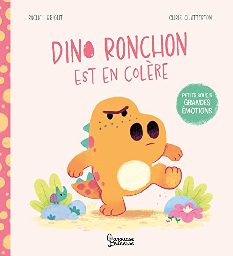 Stock image for Dino Ronchon Est En Colre : Petits Soucis, Grandes motions for sale by RECYCLIVRE