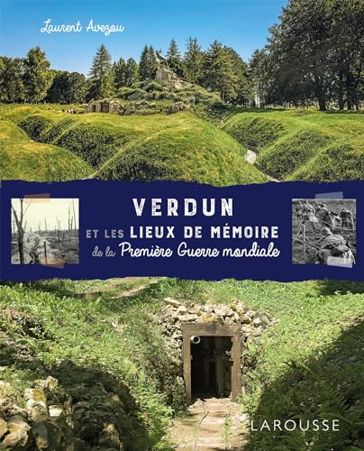 Beispielbild fr Verdun et les lieux de mmoire de la Premire Guerre mondiale zum Verkauf von Chapitre.com : livres et presse ancienne