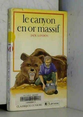 9782038702729: Le canyon en or massif