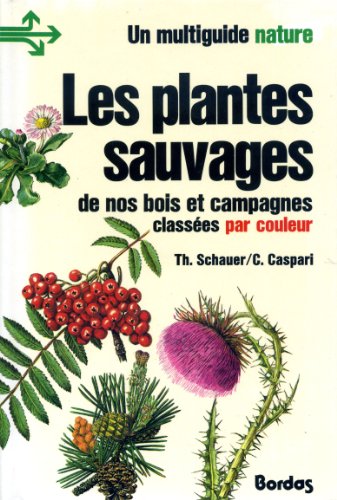 Beispielbild fr PLANTES SAUVAGES zum Verkauf von Ammareal