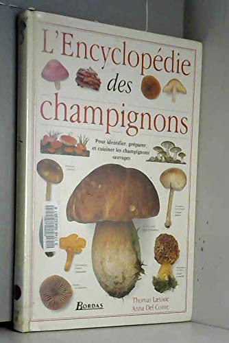 Imagen de archivo de L'encyclopdie des champignons. Pour identifier, prparer et cuisiner les champignons sauvages a la venta por medimops