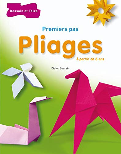 Beispielbild fr Pliages : Premiers pas zum Verkauf von Ammareal
