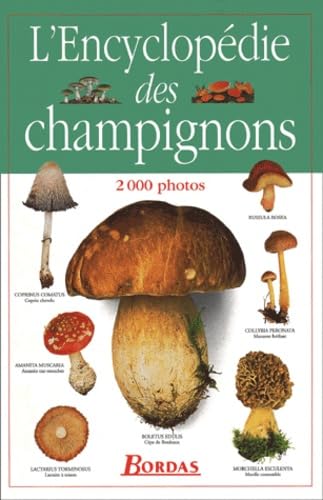 Imagen de archivo de L'encyclopdie des champignons a la venta por medimops