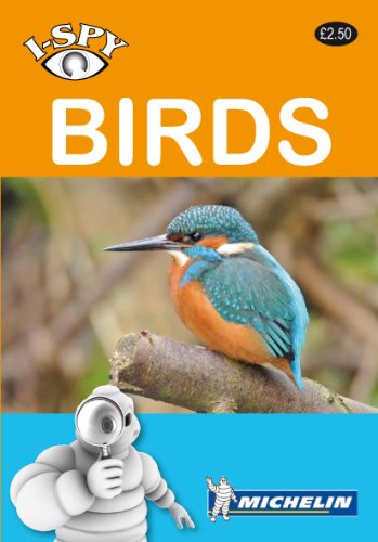 Stock image for I-spy Birds (Michelin I-Spy Guides) for sale by Hippo Books