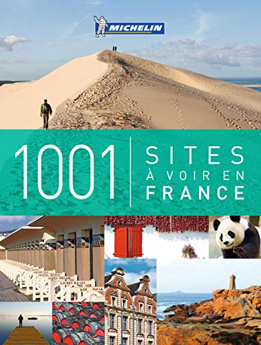 9782067208438: 1001 sites  voir en France (PRATIQUES/PRAKT. MICHELIN)