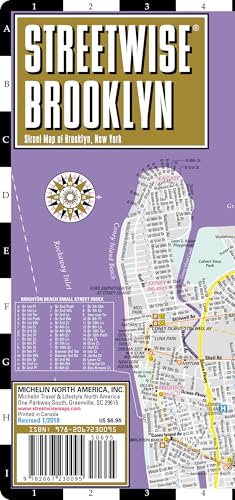 Immagine dell'editore per Streetwise Brooklyn, New York venduto da Revaluation Books