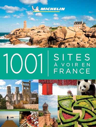 9782067243521: 1001 sites  voir en France (Livres thmatiques touristique)