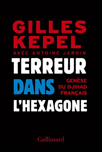 Stock image for Terreur dans lHexagone: 2005-2015, gen?se du djihad fran?ais for sale by Brit Books