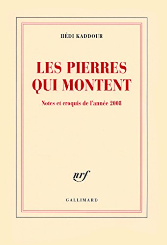 Beispielbild fr Les pierres qui montent: Notes et croquis de l'anne 2008 zum Verkauf von medimops