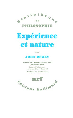 9782070127795: Exprience et nature