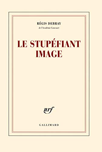 9782070141777: Le stupfiant image: De la grotte Chauvet au Centre Pompidou