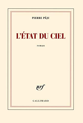 9782070142033: L'tat du ciel