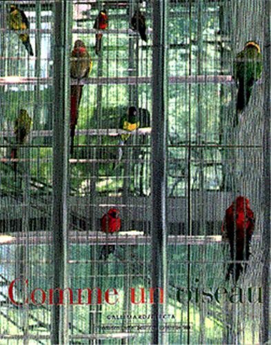 Stock image for Comme Un Oiseau : Exposition, Paris, 19 Juin-13 Octobre 1996, Fondation Cartier Pour L'art Contempor for sale by RECYCLIVRE