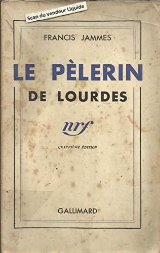 9782070233663: LE PELERIN DE LOURDES (HORS SERIE LITTERATURE)