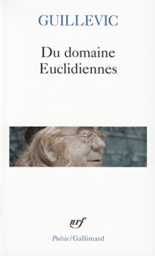 Imagen de archivo de Du domaine / Euclidiennes a la venta por Ammareal