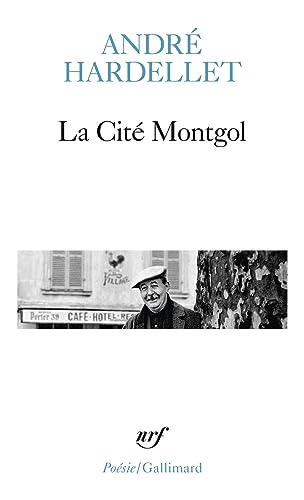 Stock image for La Cit Montgol / Le Luisant et la Sorgue /Sommeils for sale by Ammareal