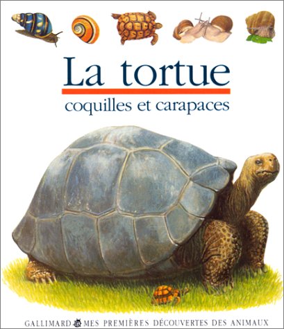Beispielbild fr La tortue zum Verkauf von medimops