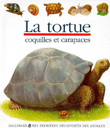Stock image for La tortue for sale by medimops