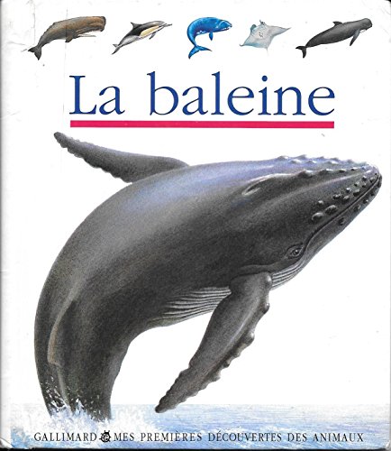 Beispielbild fr La baleine Collectif zum Verkauf von LIVREAUTRESORSAS