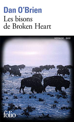 9782070360680: Les bisons de broken heart