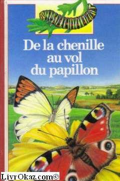 Stock image for De la chenille au vol du papillon for sale by Ammareal