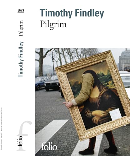 Stock image for Pilgrim for sale by HPB-Red