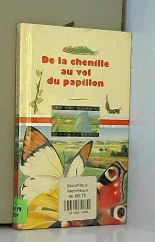 Beispielbild fr De la chenille au vol du papillon zum Verkauf von Ammareal