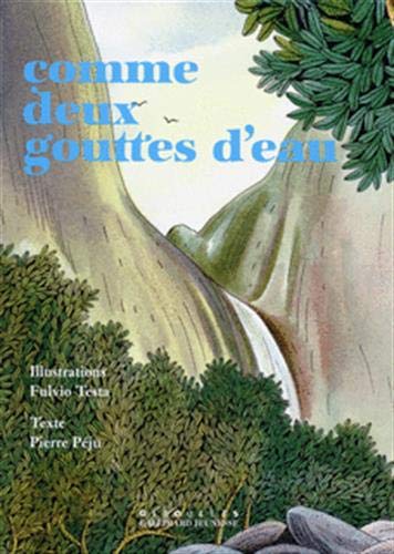 9782070508259: Comme deux gouttes d'eau (Hors Srie Giboules) (French Edition)