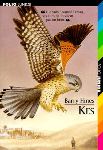 Imagen de archivo de Kes (in French) a la venta por Goldstone Books