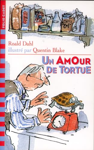 9782070518043: UN AMOUR DE TORTUE