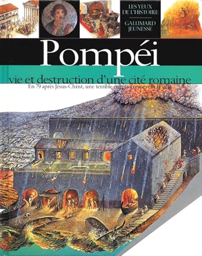Stock image for Pompi: Vie et destruction d'une cit romaine for sale by Ammareal